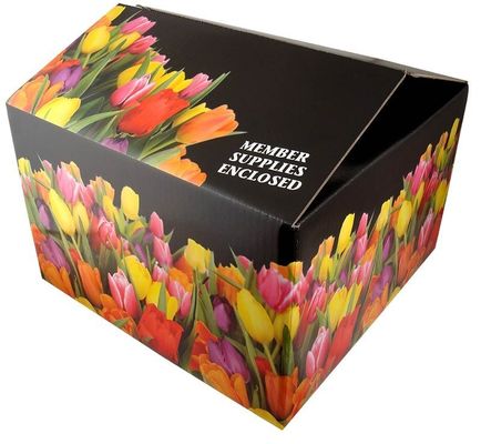 Recyclebare Tuck Top Boxes Craft Geaffineerd Karton Papier Verpakkingsdoos Karton