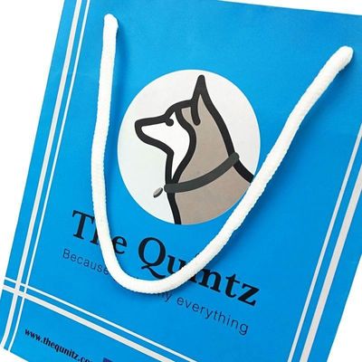 Eco-vriendelijke, op maat gemaakte kledingverpakkingszak met gerecycled houtvrij papier en op maat gemaakt logo