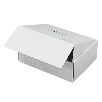 Custom logo gegolfd karton verzending e-commerce verpakkingsdoos traanstrook ritsdoos